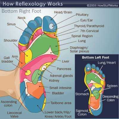 reflexology visual