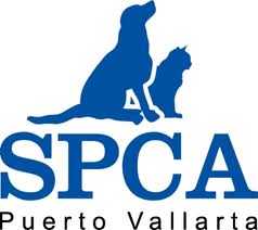 spca puerto vallarta spcapv com