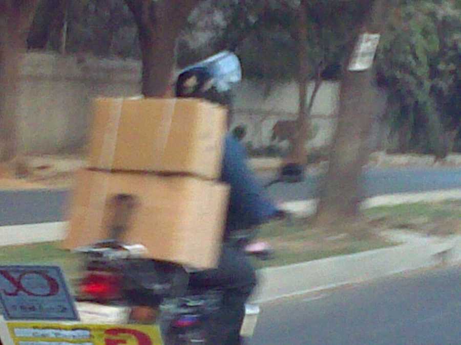 The local DHL courier?