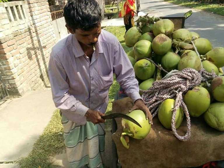 The Coconut Seller’s Daughters