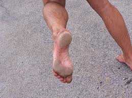 barefoot chirotalk wp com